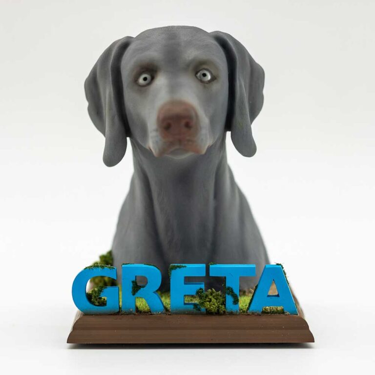 Figura-mascota-personalizada-Busco-Braco-Weimar-3