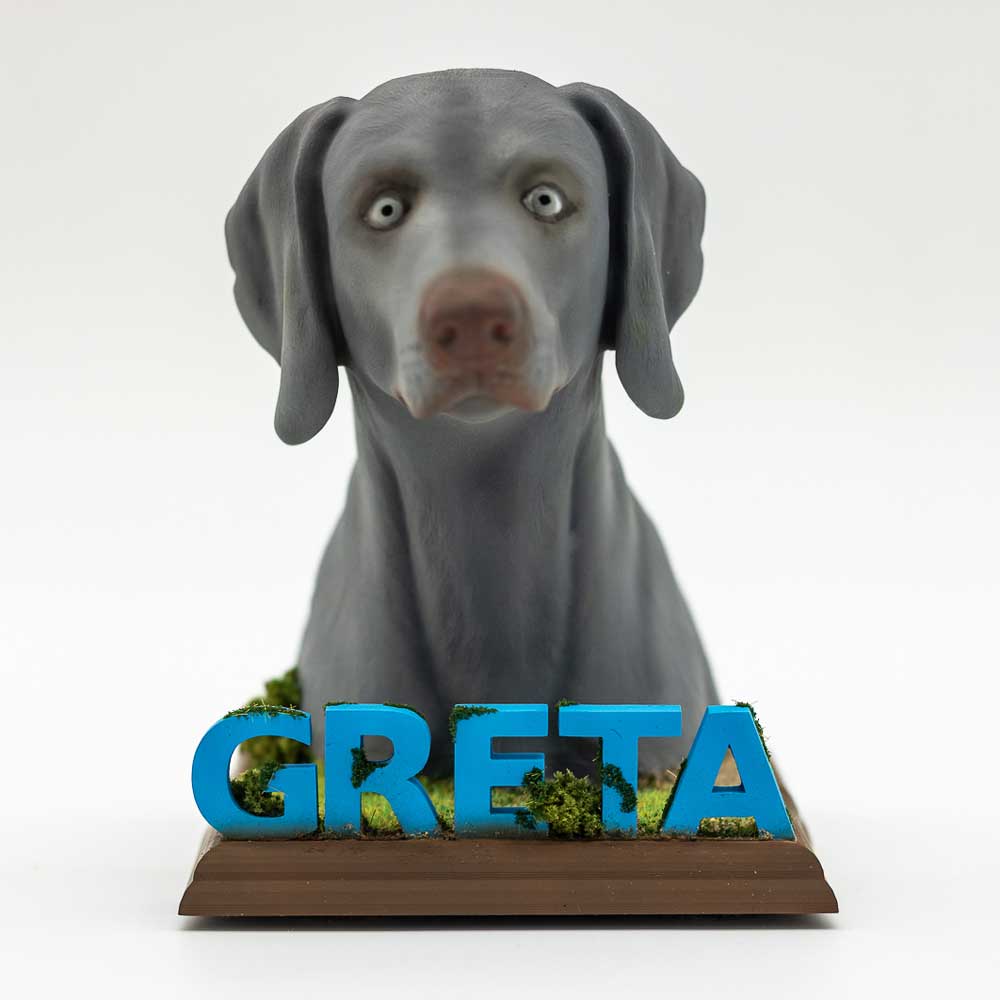 Figura-mascota-personalizada-Busco-Braco-Weimar-3